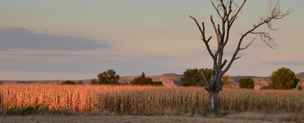 comarca-de-las-vegas Madrid