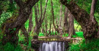 sierra-del-rincon-madrid