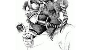 dia-mundial-cambio climatico